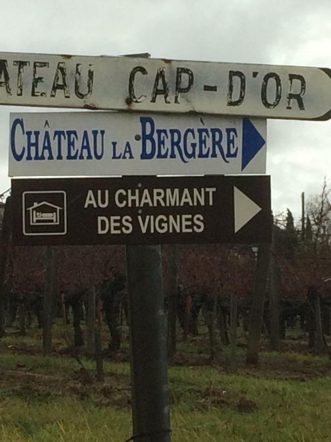 Au Charmant Des Vignes Montagne  Bagian luar foto